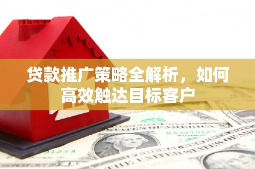纳溪贷款推广策略全解析，如何高效触达目标客户