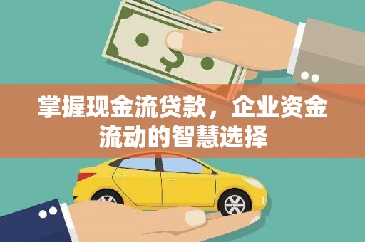 纳溪掌握现金流贷款，企业资金流动的智慧选择