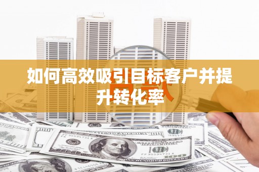 纳溪如何高效吸引目标客户并提升转化率