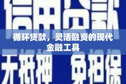 纳溪循环贷款，灵活融资的现代金融工具