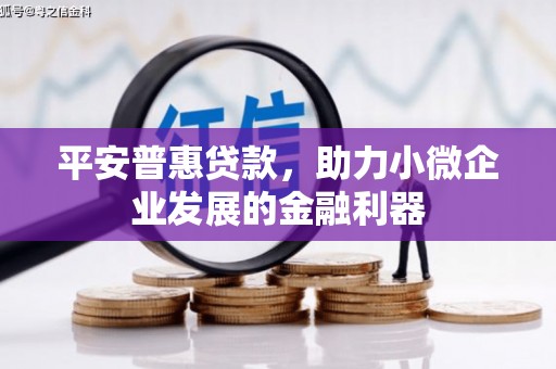 纳溪平安普惠贷款，助力小微企业发展的金融利器