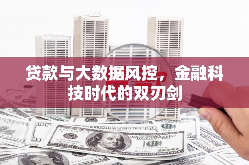 纳溪贷款与大数据风控，金融科技时代的双刃剑