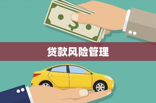 纳溪贷款风险管理