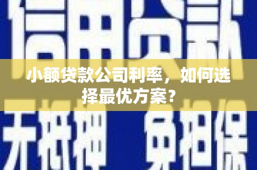 纳溪小额贷款公司利率，如何选择最优方案？