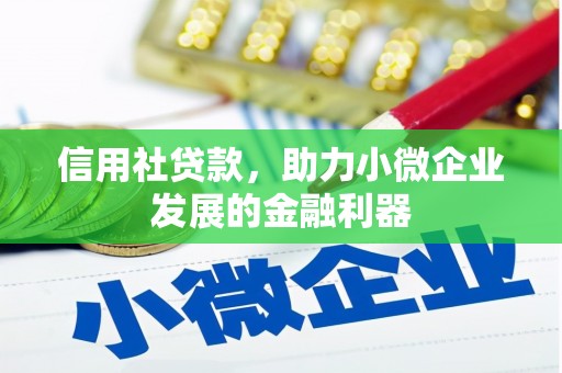 纳溪信用社贷款，助力小微企业发展的金融利器