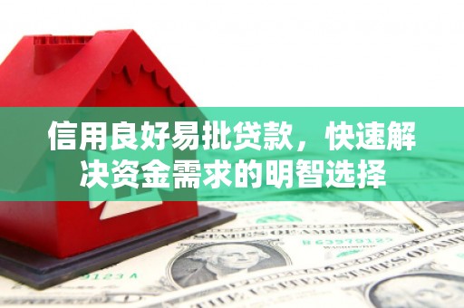 纳溪信用良好易批贷款，快速解决资金需求的明智选择