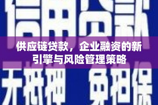 纳溪供应链贷款，企业融资的新引擎与风险管理策略