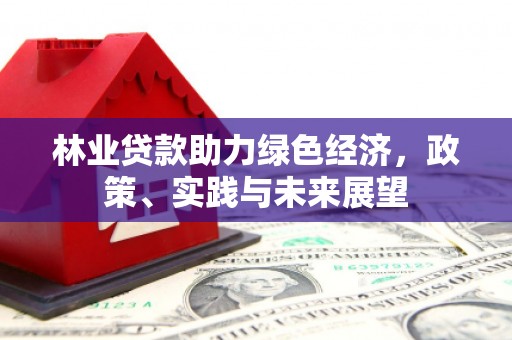 纳溪林业贷款助力绿色经济，政策、实践与未来展望