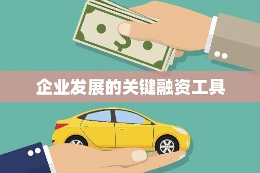 纳溪企业发展的关键融资工具