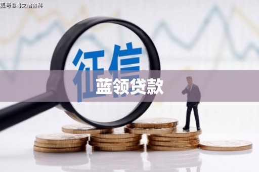 纳溪蓝领贷款