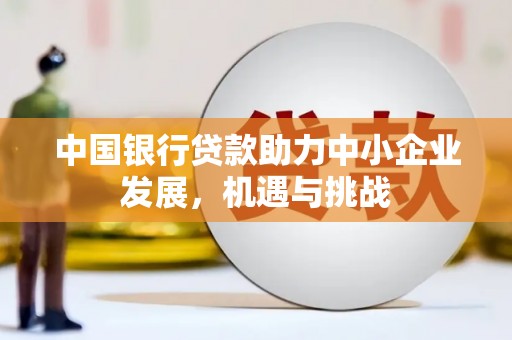 纳溪中国银行贷款助力中小企业发展，机遇与挑战