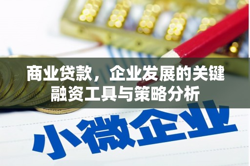 纳溪商业贷款，企业发展的关键融资工具与策略分析