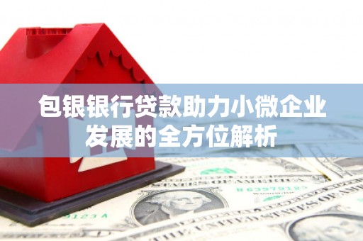 纳溪包银银行贷款助力小微企业发展的全方位解析