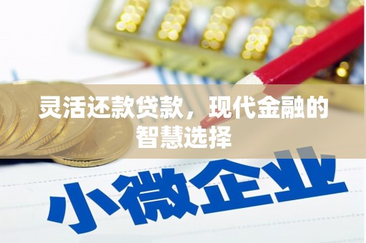 纳溪灵活还款贷款，现代金融的智慧选择