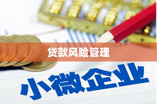 纳溪贷款风险管理