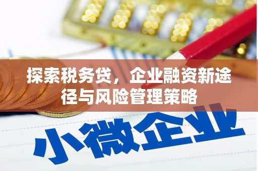 纳溪探索税务贷，企业融资新途径与风险管理策略
