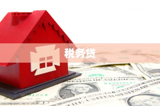 纳溪税务贷