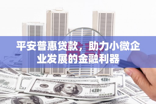 纳溪平安普惠贷款，助力小微企业发展的金融利器