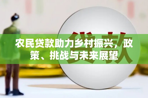 纳溪农民贷款助力乡村振兴，政策、挑战与未来展望
