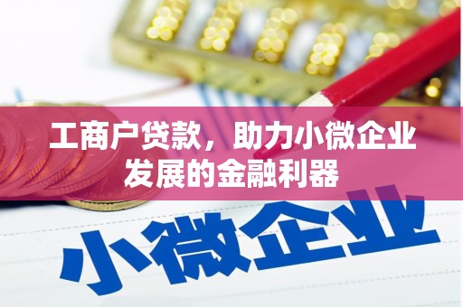 纳溪工商户贷款，助力小微企业发展的金融利器