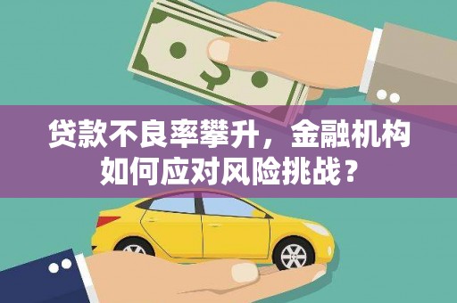 纳溪贷款不良率攀升，金融机构如何应对风险挑战？