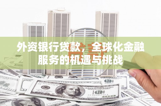 纳溪外资银行贷款，全球化金融服务的机遇与挑战