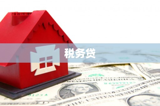 纳溪税务贷