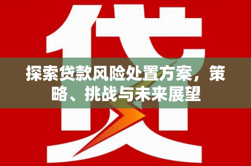 纳溪探索贷款风险处置方案，策略、挑战与未来展望