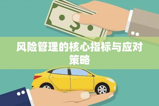 纳溪风险管理的核心指标与应对策略