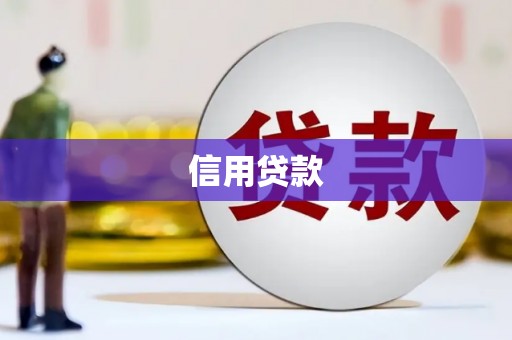 纳溪信用贷款