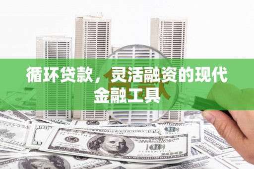 纳溪循环贷款，灵活融资的现代金融工具
