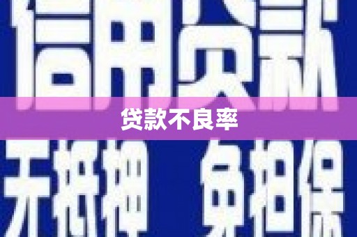 纳溪贷款不良率