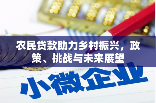 纳溪农民贷款助力乡村振兴，政策、挑战与未来展望
