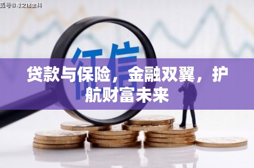 纳溪贷款与保险，金融双翼，护航财富未来