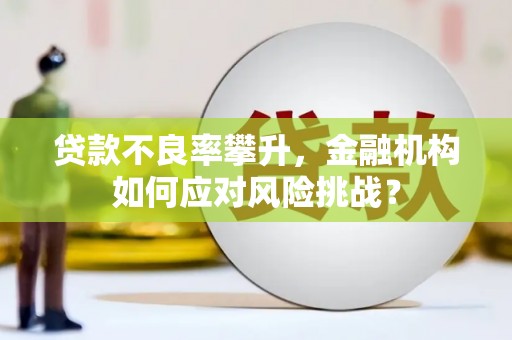 纳溪贷款不良率攀升，金融机构如何应对风险挑战？
