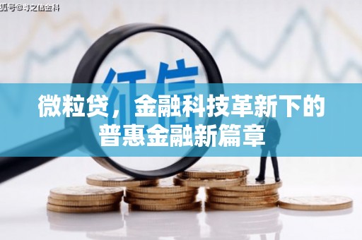 纳溪微粒贷，金融科技革新下的普惠金融新篇章