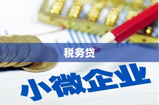 纳溪税务贷