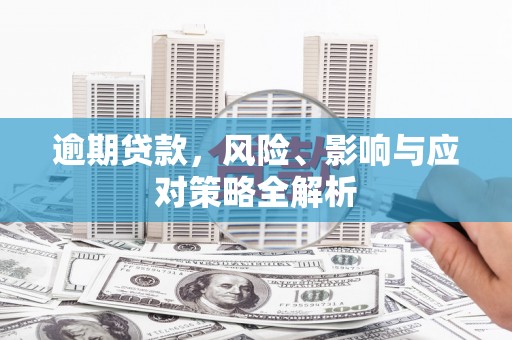 纳溪逾期贷款，风险、影响与应对策略全解析