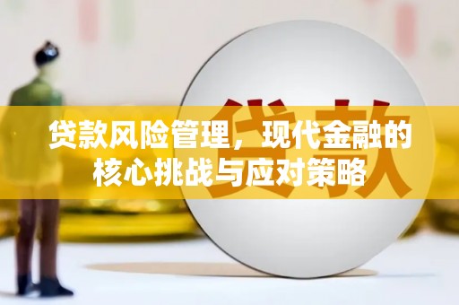 纳溪贷款风险管理，现代金融的核心挑战与应对策略