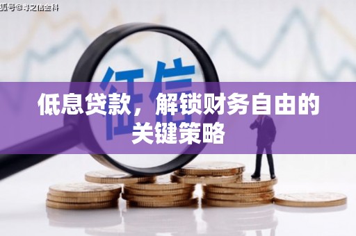 纳溪低息贷款，解锁财务自由的关键策略