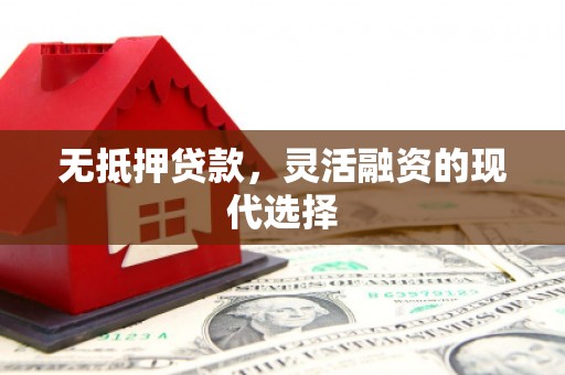 纳溪无抵押贷款，灵活融资的现代选择