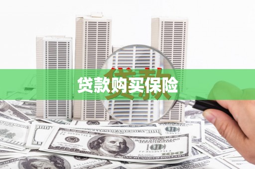 纳溪贷款购买保险