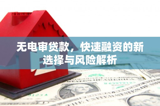 纳溪无电审贷款，快速融资的新选择与风险解析