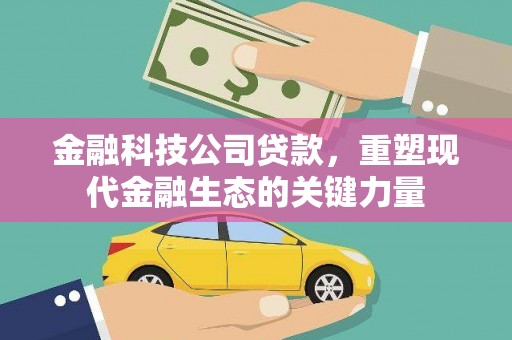 纳溪金融科技公司贷款，重塑现代金融生态的关键力量