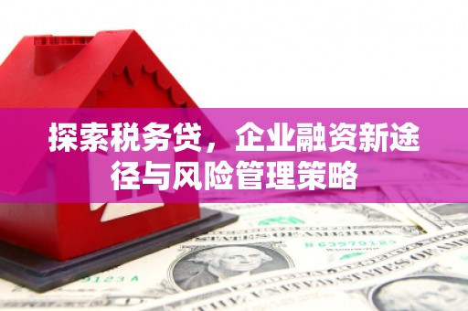 纳溪探索税务贷，企业融资新途径与风险管理策略