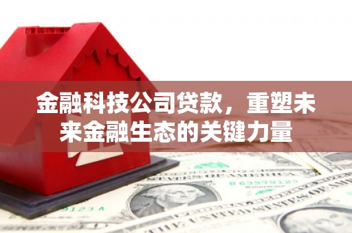 纳溪金融科技公司贷款，重塑未来金融生态的关键力量