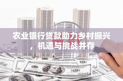 纳溪农业银行贷款助力乡村振兴，机遇与挑战并存