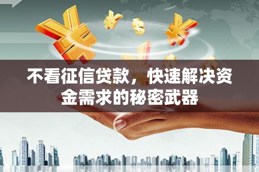 纳溪不看征信贷款，快速解决资金需求的秘密武器