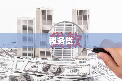 纳溪税务贷