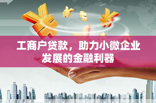 纳溪工商户贷款，助力小微企业发展的金融利器